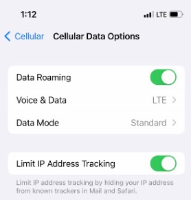 Cellular data options